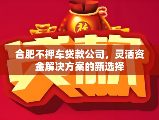 合肥不押车贷款公司，灵活资金解决方案的新选择