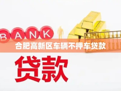 合肥高新区车辆不押车贷款