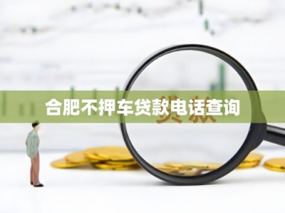 合肥不押车贷款电话查询